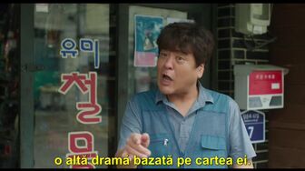 celulele lui yumi 3 1