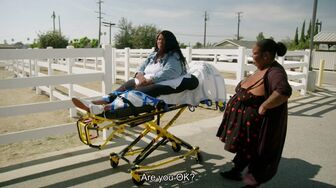 1000-lb Roomies S02E03 1080p ENGLISH SUBT
