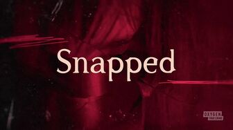 Snapped S36E20-HDTV-X264-NGP